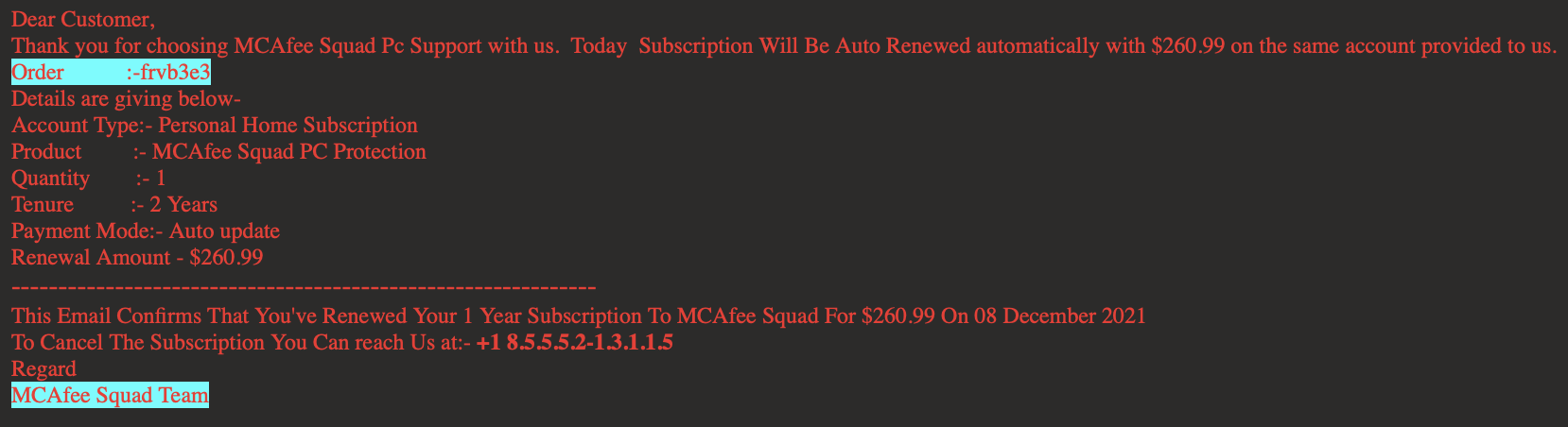 MCAfee Squad Pc Support - Subscription Renewal Scam