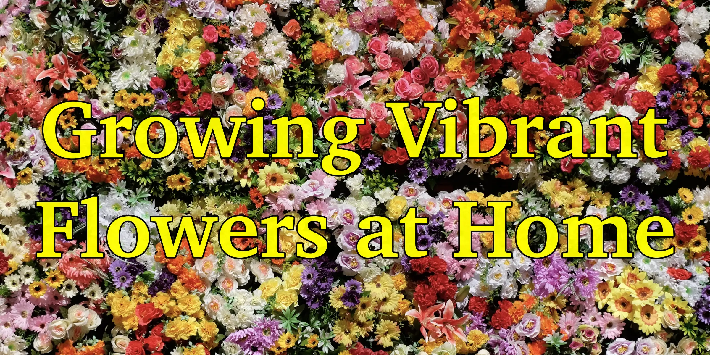 Growing Flowers At Home