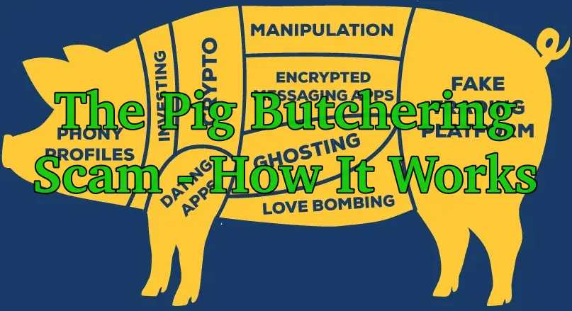 Pig Butchering Scams